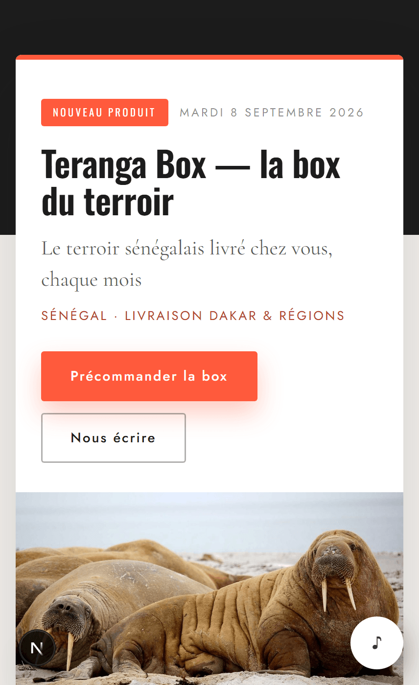 Page Annonce — style Grande Nouvelle